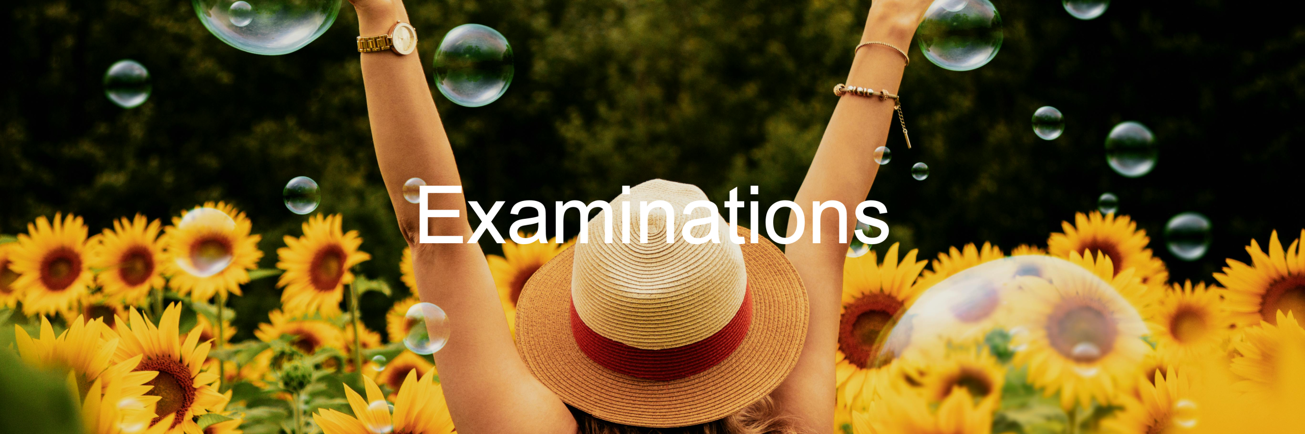 Examinations-Slider-Image2