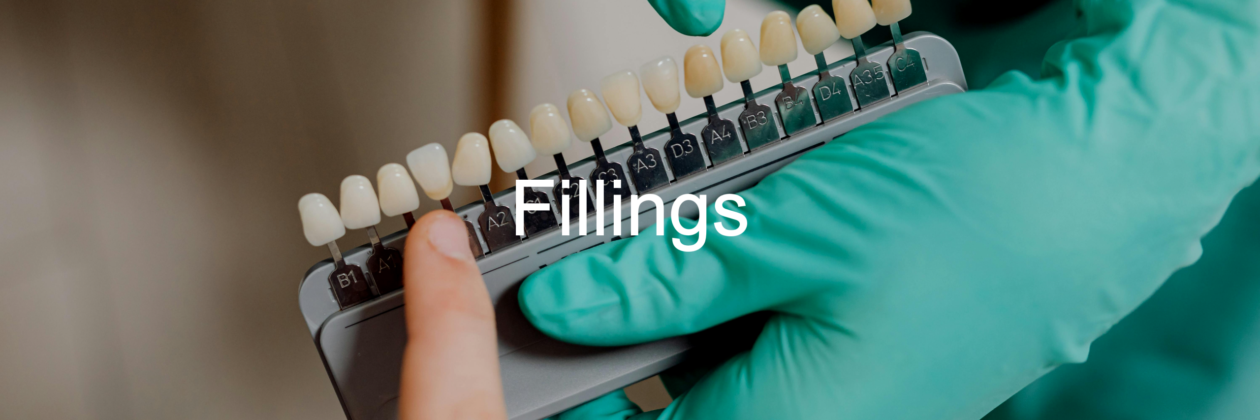 Fillings-Slider-Image2