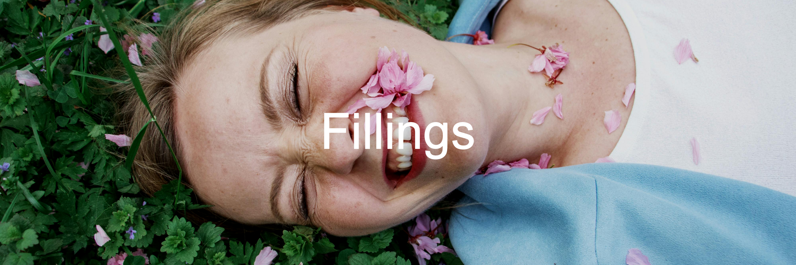 Fillings-Slider-Image3