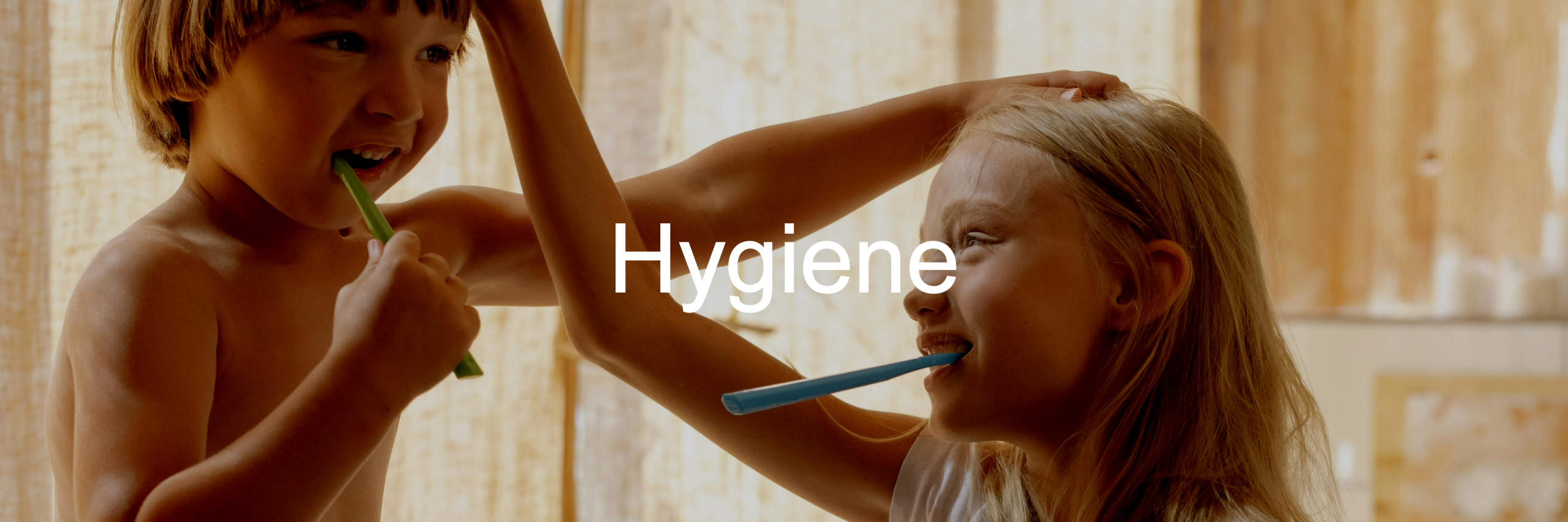 Hygiene-Slider-Image2